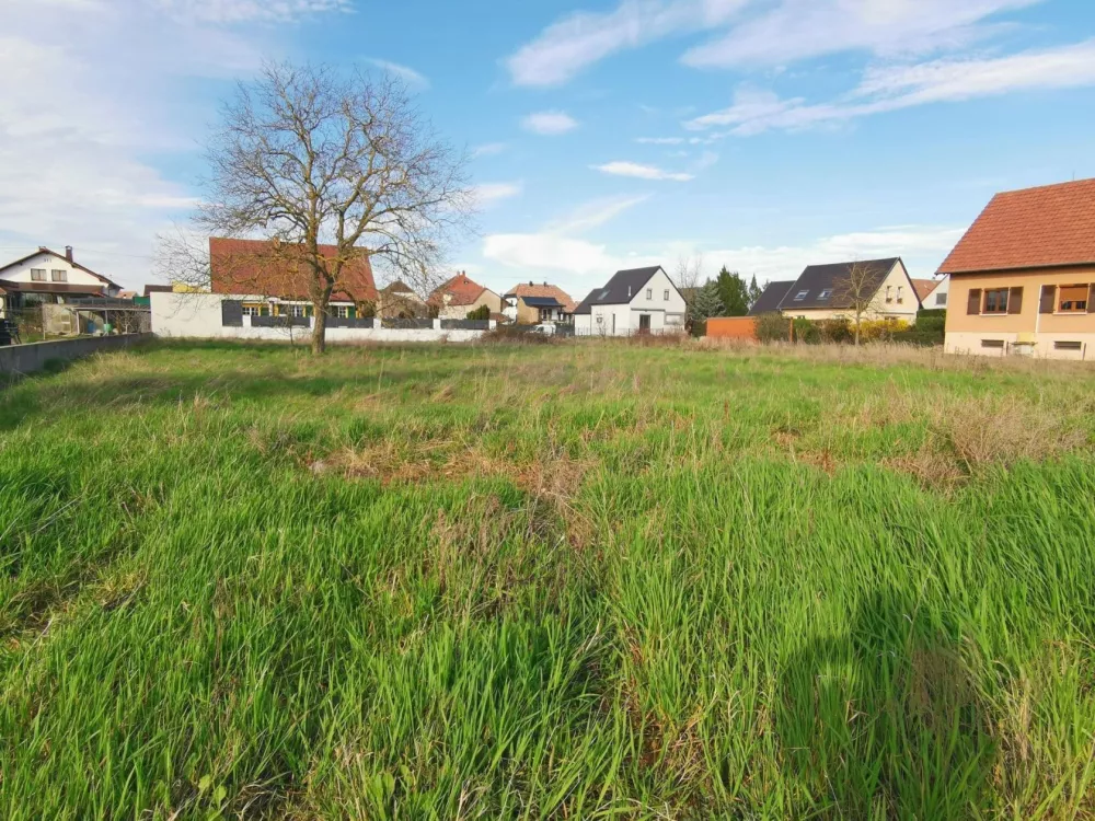 Image du modèle de maison TERRAIN MEYENHEIM