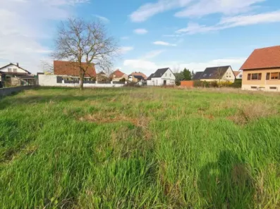 Image du modèle de maison TERRAIN MEYENHEIM