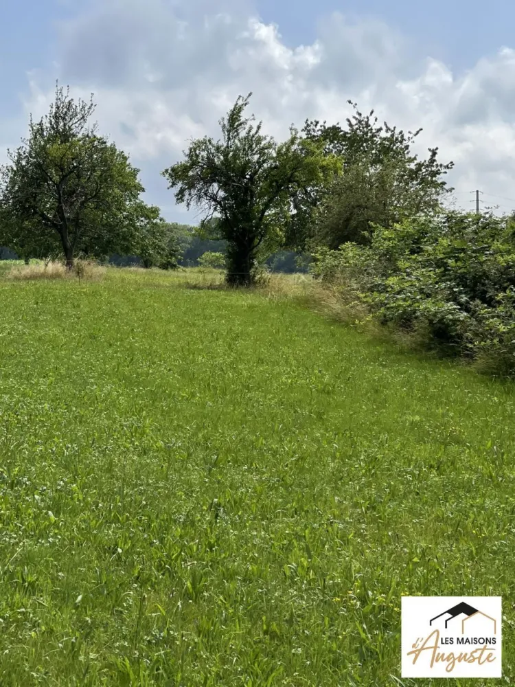 Image du modèle de maison TERRAIN MUESPACH