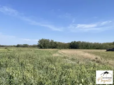 Image du modèle de maison TERRAIN NIEDERHERGHEIM