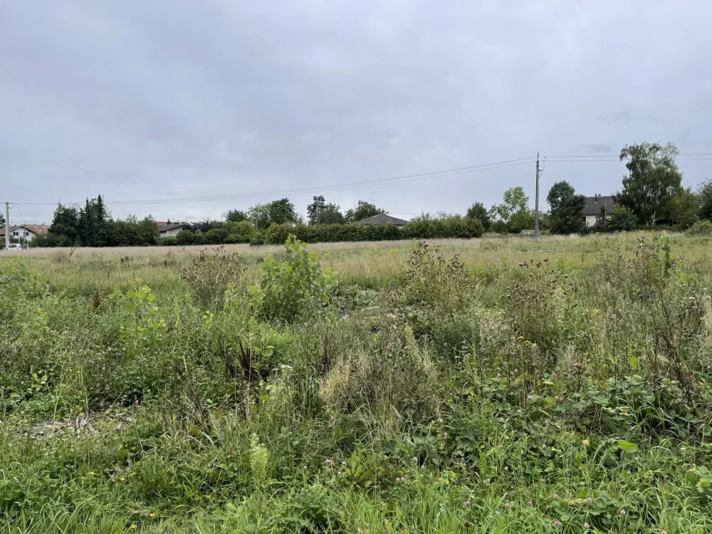 Image du modèle de maison TERRAIN REININGUE