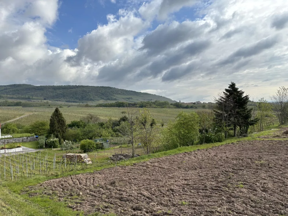 Image du modèle de maison TERRAIN RODERN
