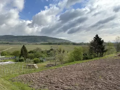 Image du modèle de maison TERRAIN RODERN