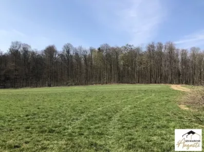 Image du modèle de maison TERRAIN SEPPOIS LE BAS