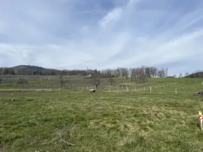 Image du modèle de maison TERRAIN WUENHEIM