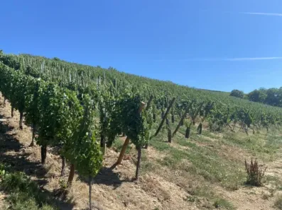 Image du modèle de maison vue 3