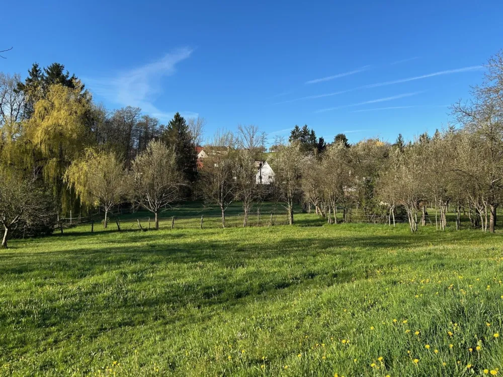 Image du modèle de maison Oberbronn2