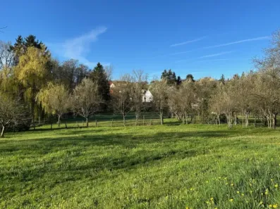 Image du modèle de maison Oberbronn2