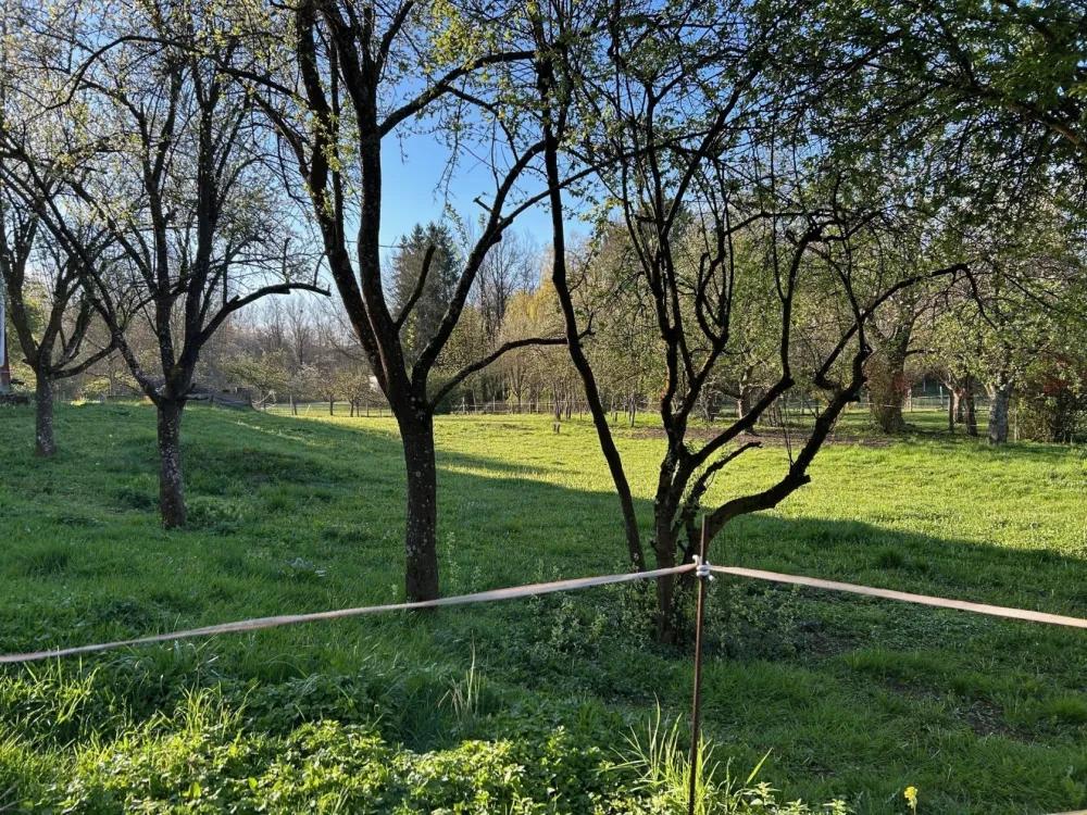 Image du modèle de maison Oberbronn1