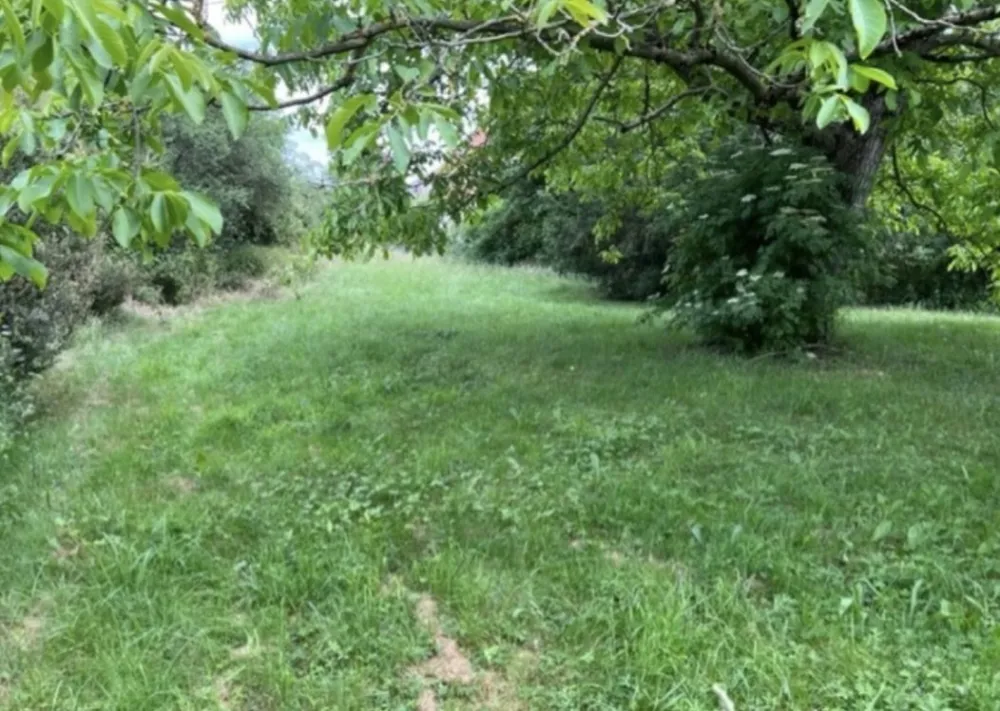 Image du modèle de maison IMG_20260422_100438