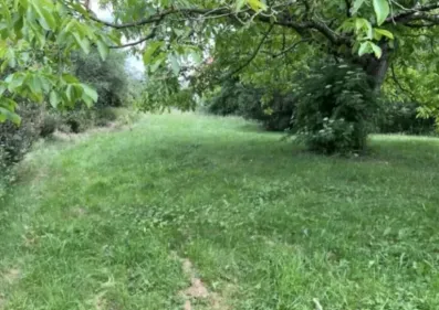 Image du modèle de maison IMG_20260422_100438