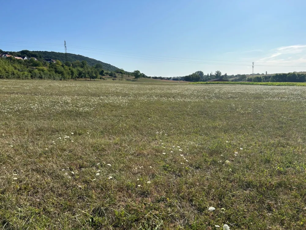 Image du modèle de maison lotissement Westerfeld à Rothbach 1