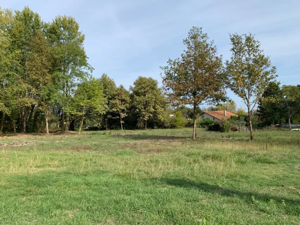 Image du modèle de maison 2