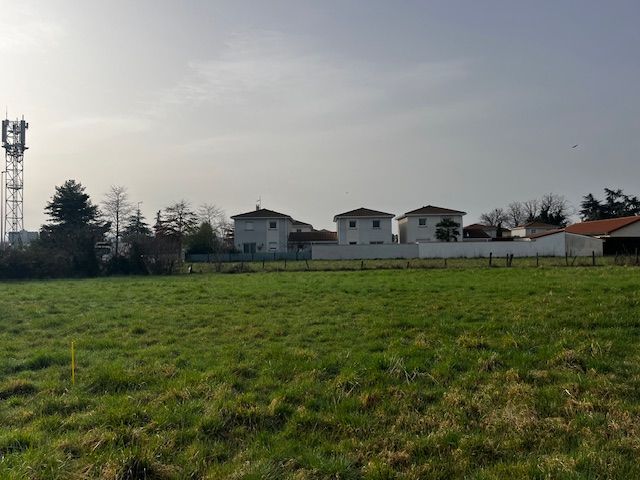 Image du modèle de maison IMG_8440