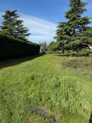 Image du modèle de maison 5