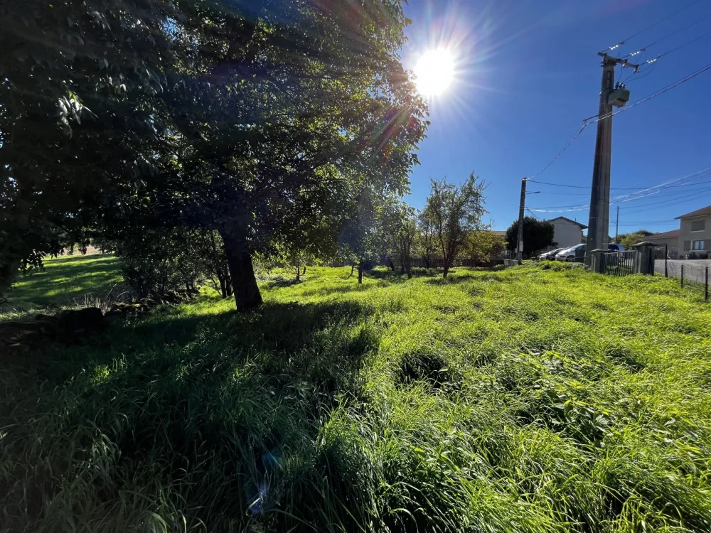 Image du modèle de maison IMG_7708