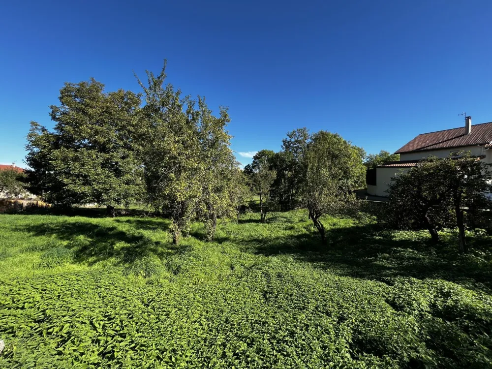 Image du modèle de maison IMG_7711