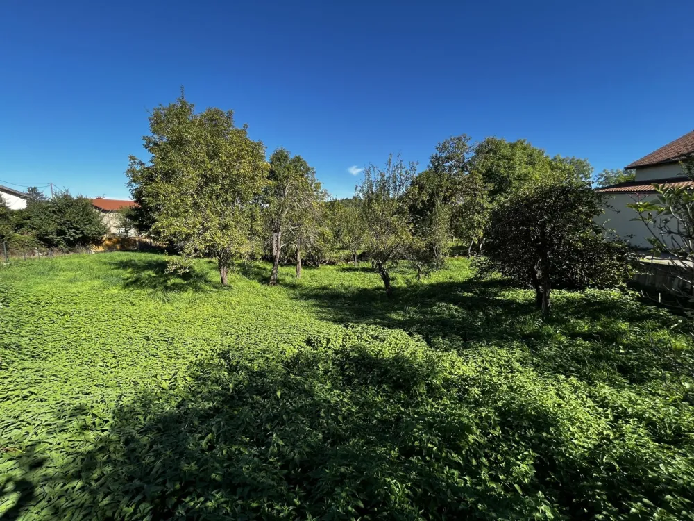 Image du modèle de maison IMG_7712