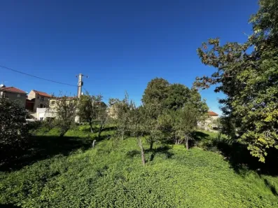 Image du modèle de maison IMG_7714