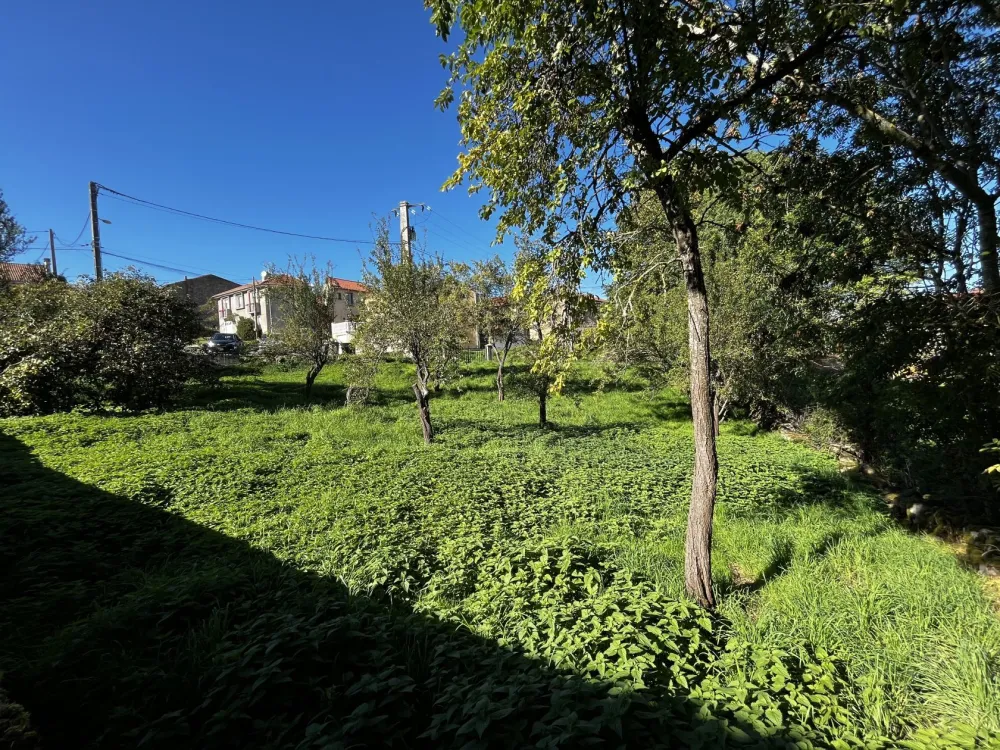 Image du modèle de maison IMG_7715