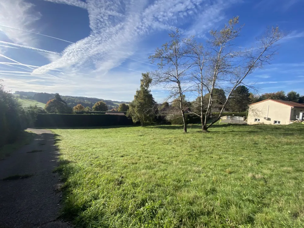 Image du modèle de maison IMG_9972