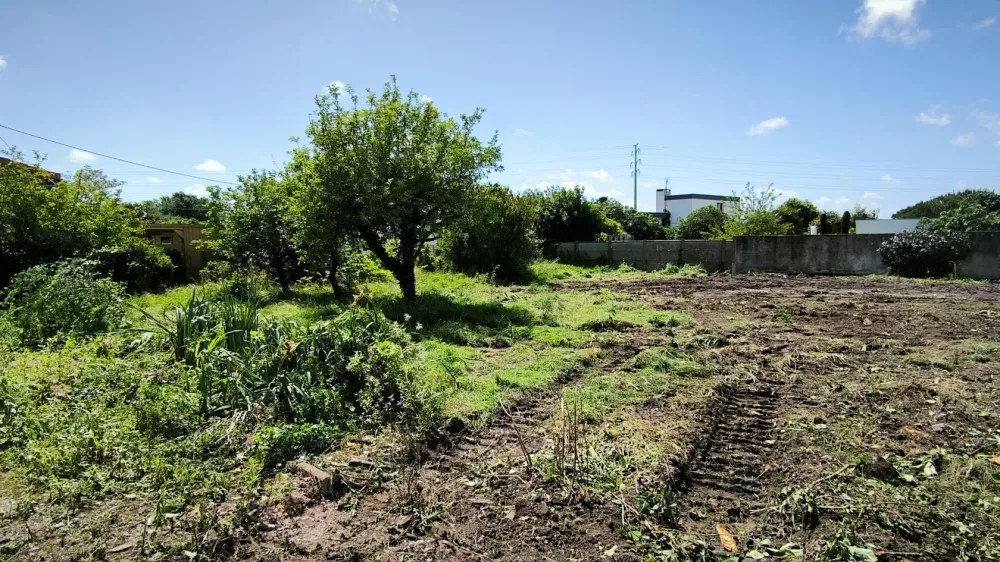 Image du modèle de maison 1717086660287