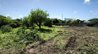 Image du modèle de maison 1717086660287