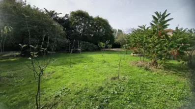Image du modèle de maison 4