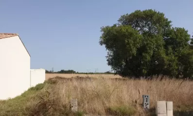 Image du modèle de maison LA JARNE
