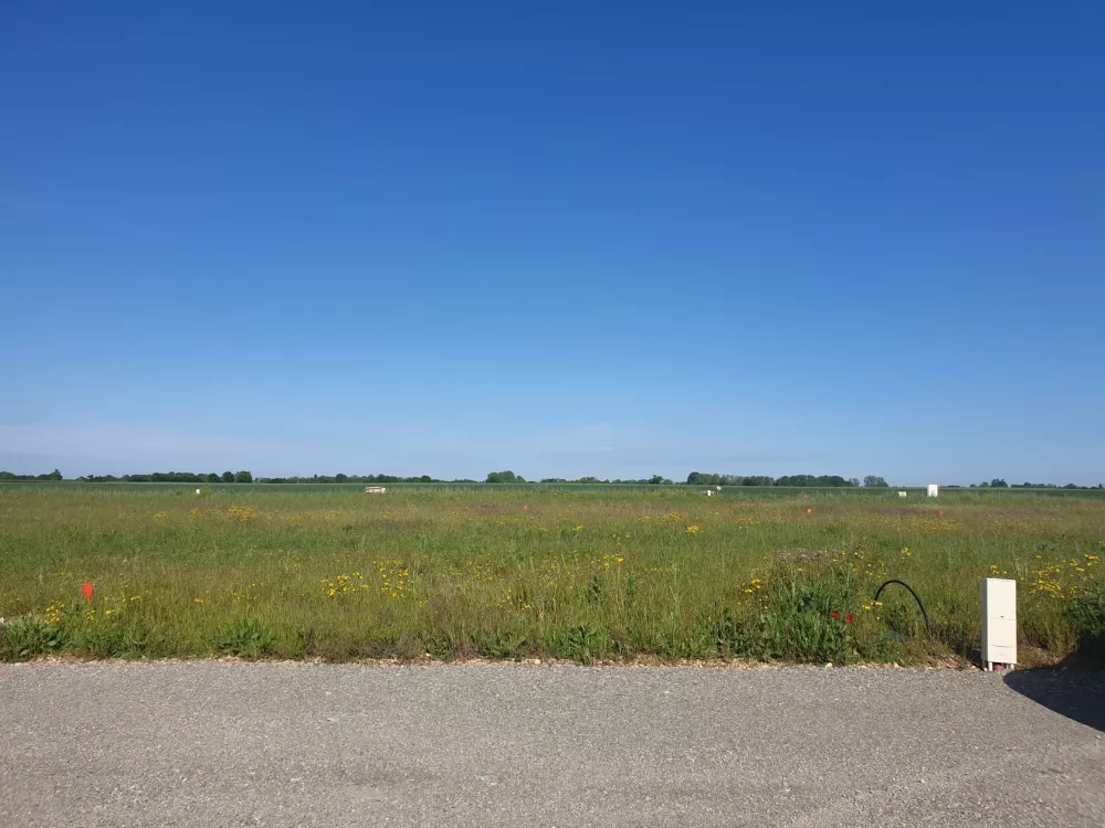Image du terrain Terrain à bâtir de 387 m² à ARDILLIERES (17)