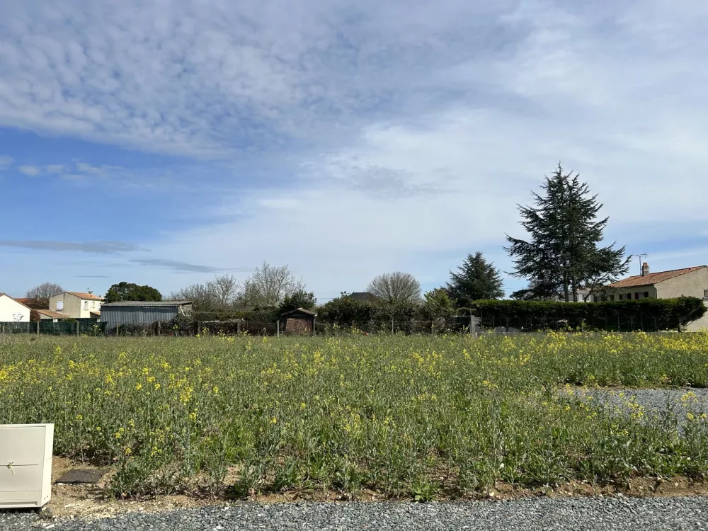 Image du modèle de maison LE THOU PROMOTERRE 3