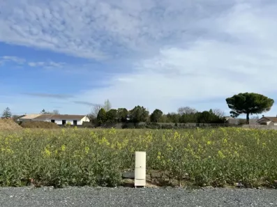 Image du modèle de maison LE THOU PROMOTERRE