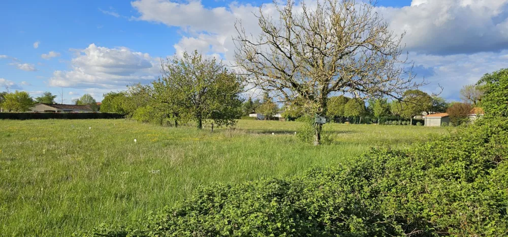 Image du modèle de maison 20250417_184552