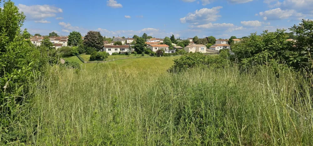 Image du modèle de maison 20250520_164644