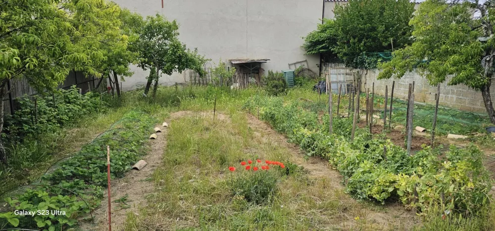 Image du modèle de maison 20250528_113138