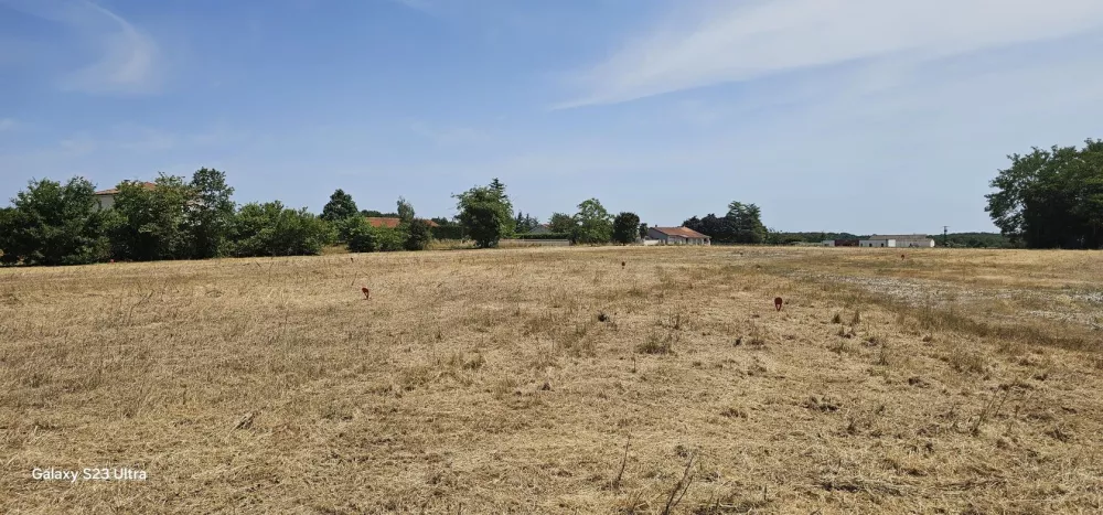 Image du modèle de maison 20250624_154311