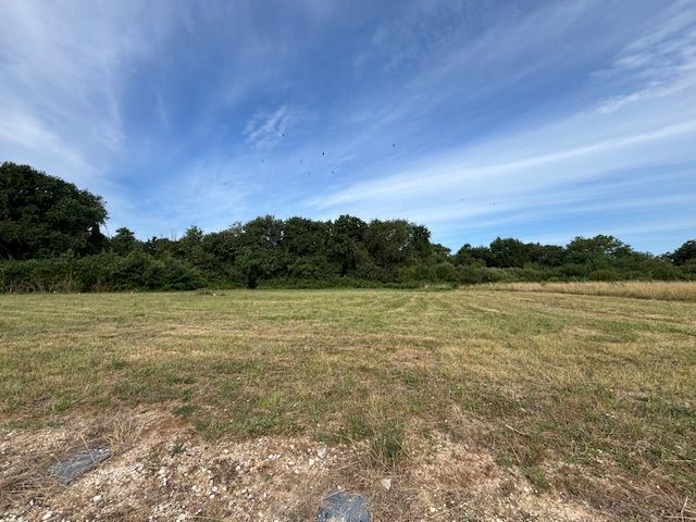 Image du modèle de maison IMG_6833