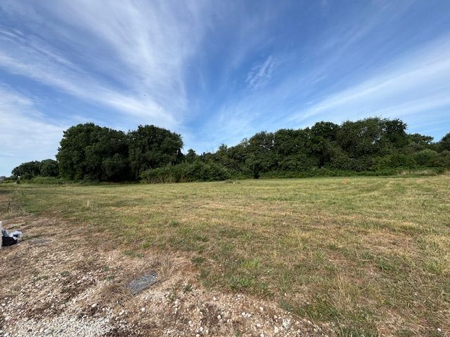 Image du modèle de maison IMG_6834