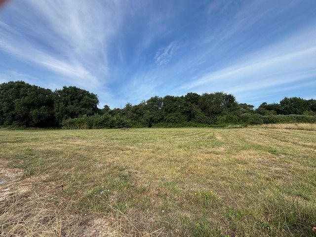 Image du modèle de maison IMG_6836