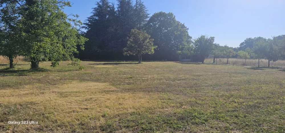 Image du modèle de maison 1000023505