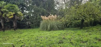 Image du modèle de maison 20251204_110523