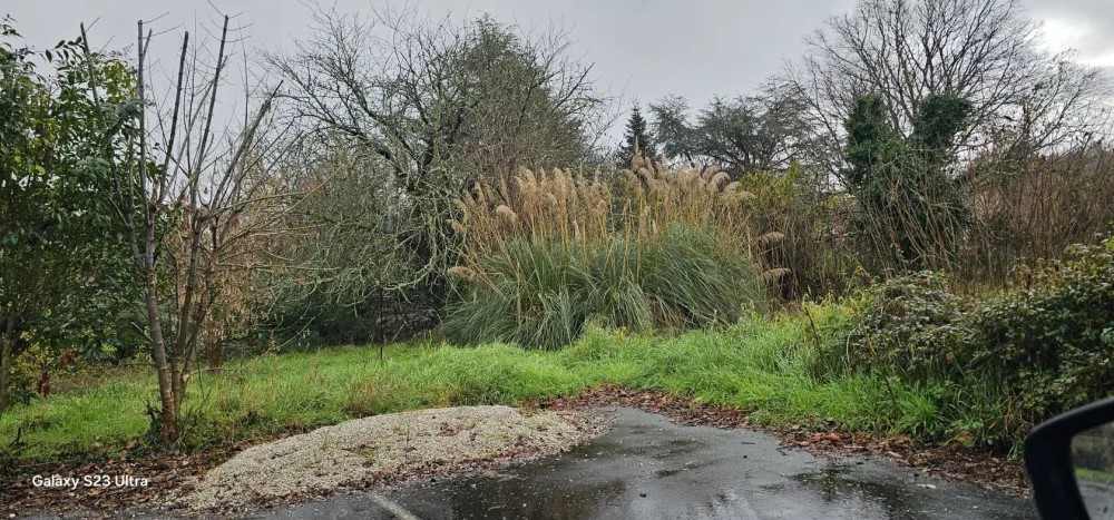 Image du modèle de maison 20251204_114007