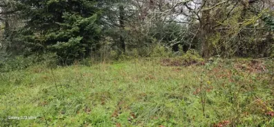 Image du modèle de maison 20251204_113909