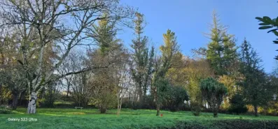 Image du modèle de maison 20251204_155345