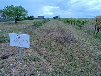 Image du modèle de maison b61a80c0-d350-11f0-830e-cb76ad94f4aa