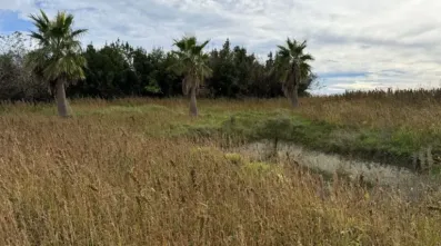 Image du modèle de maison Capture d'écran 2025-12-09 093103