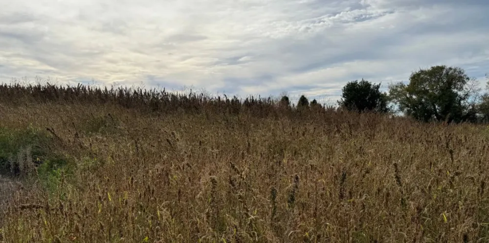 Image du modèle de maison Capture d'écran 2025-12-09 093114