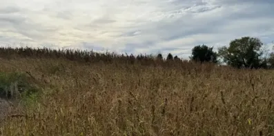 Image du modèle de maison Capture d'écran 2025-12-09 093114