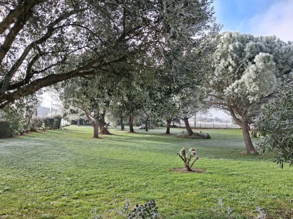 Image du modèle de maison 1050418426245910