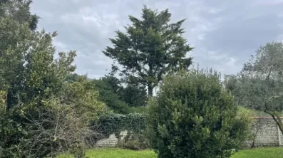 Image du modèle de maison IMG_5184